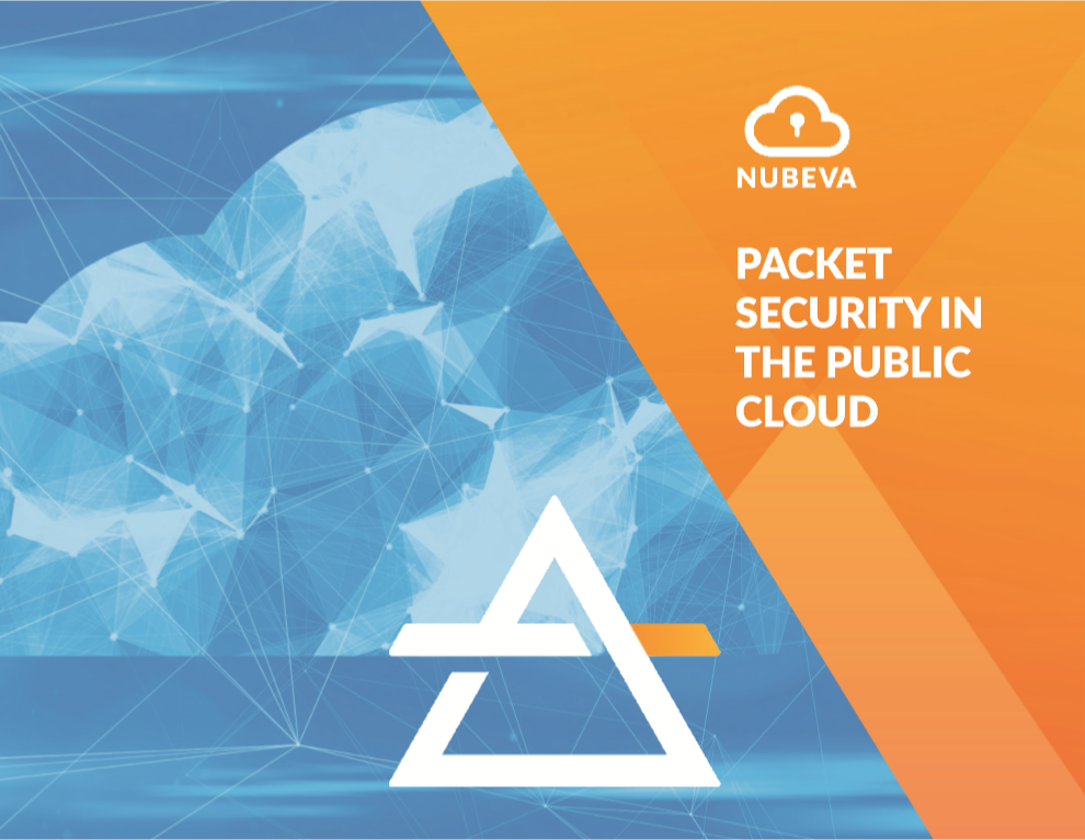 Packet Security In The Public Cloud Ebook Cover